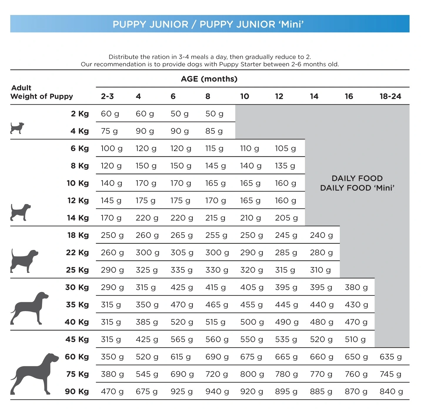 Natura Diet Puppy Junior Hvalpepakke 10 x 500 g